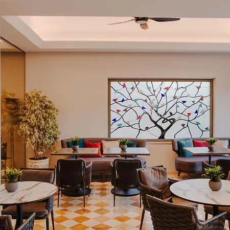 The Arkin Colony Cirénia