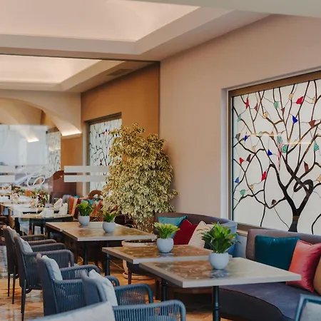 The Arkin Colony Hotel 5*